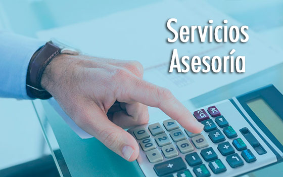 asesoria2 asesoria2