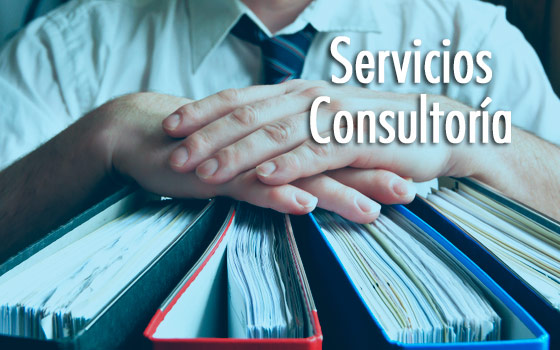 servicios-consulttoria servicios-consulttoria