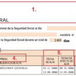 CÓMO ENTENDER UNA VIDA LABORAL