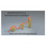 LA RETRIBUCIÓN FLEXIBLE